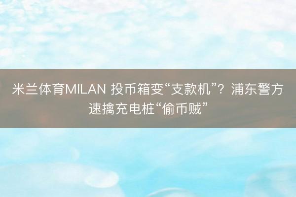 米兰体育MILAN 投币箱变“支款机”？浦东警方速擒充电桩“偷币贼”