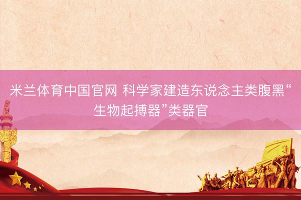 米兰体育中国官网 科学家建造东说念主类腹黑“生物起搏器”类器官