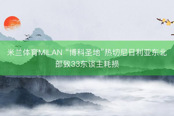 米兰体育MILAN “博科圣地”热切尼日利亚东北部致33东谈主耗损