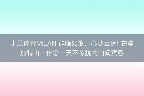 米兰体育MILAN 群峰如浪，心随云远! 在曼加特山，作念一天不惊扰的山间宾客