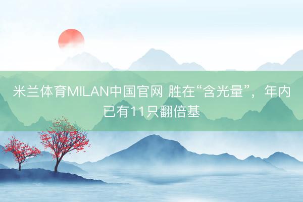米兰体育MILAN中国官网 胜在“含光量”，年内已有11只翻倍基