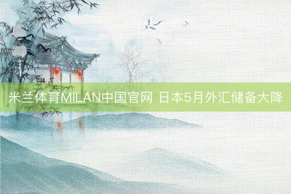 米兰体育MILAN中国官网 日本5月外汇储备大降
