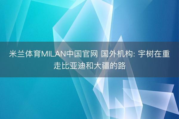 米兰体育MILAN中国官网 国外机构: 宇树在重走比亚迪和大疆的路
