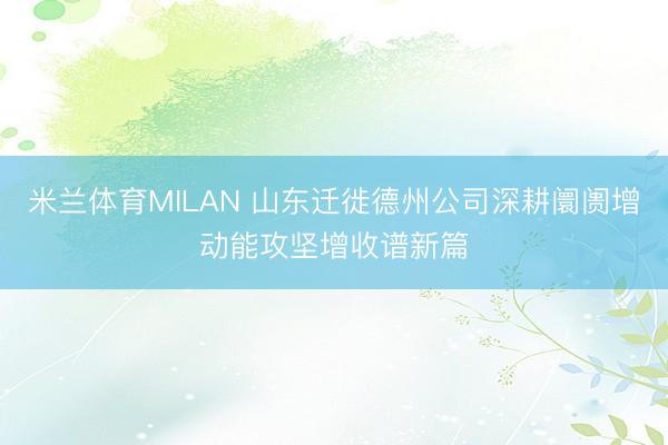 米兰体育MILAN 山东迁徙德州公司深耕阛阓增动能攻坚增收谱新篇