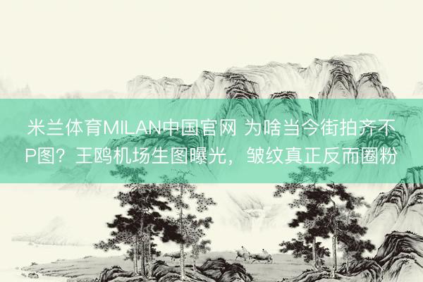 米兰体育MILAN中国官网 为啥当今街拍齐不P图？王鸥机场生图曝光，皱纹真正反而圈粉