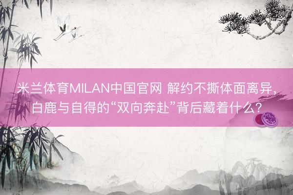 米兰体育MILAN中国官网 解约不撕体面离异,白鹿与自得的“双向奔赴”背后藏着什么?