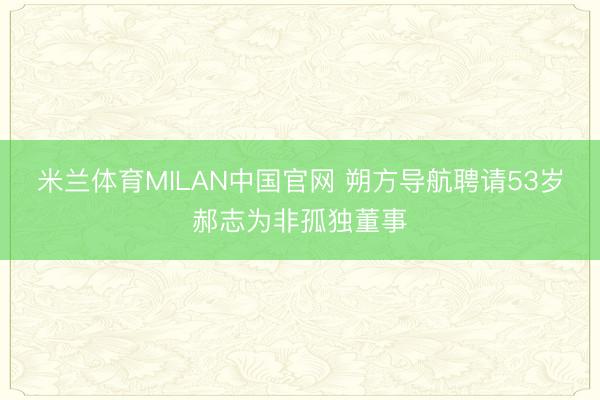 米兰体育MILAN中国官网 朔方导航聘请53岁郝志为非孤独董事