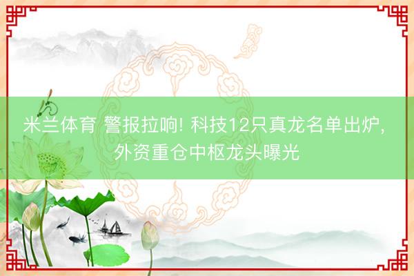 米兰体育 警报拉响! 科技12只真龙名单出炉， 外资重仓中枢龙头曝光